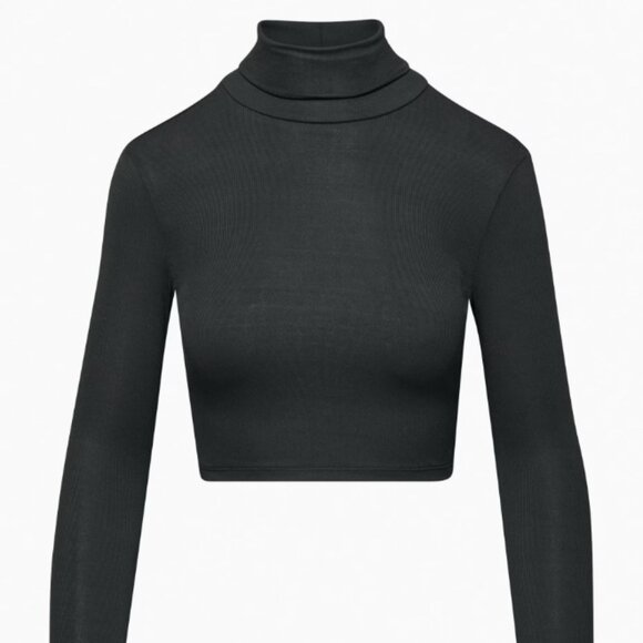 Aritzia Freshman Cropped Turtleneck - Picture 1 of 4